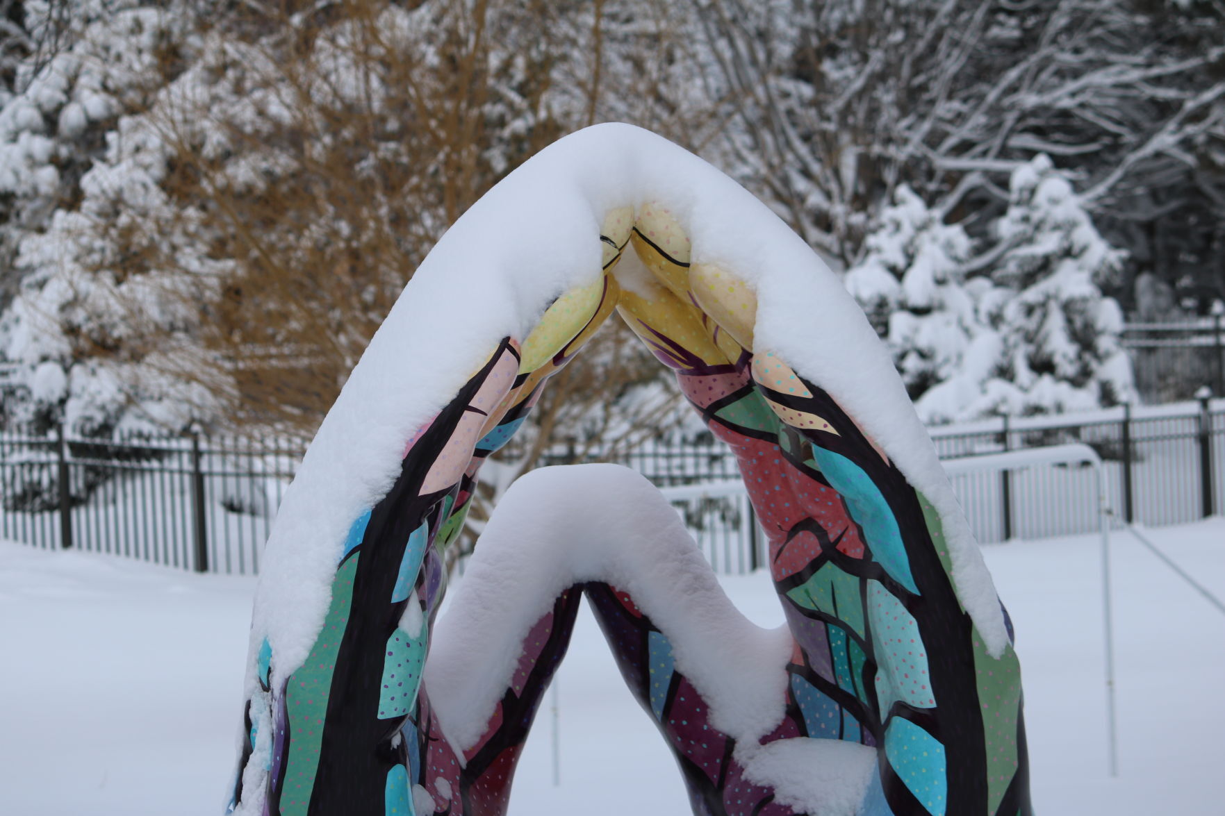 Snowy hands